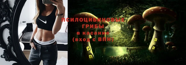 гидропоника Абаза