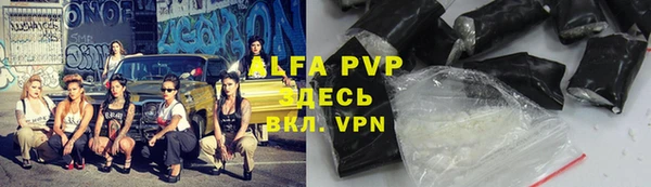 шишки Алексин