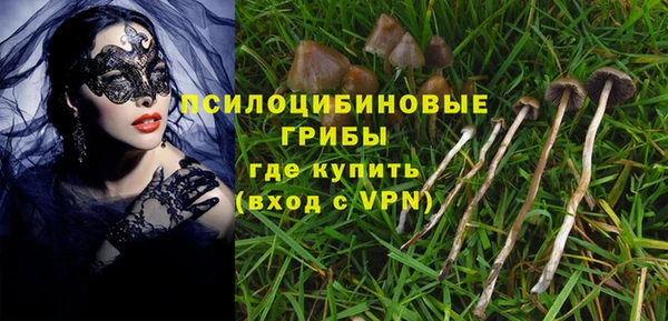 гидропоника Абаза